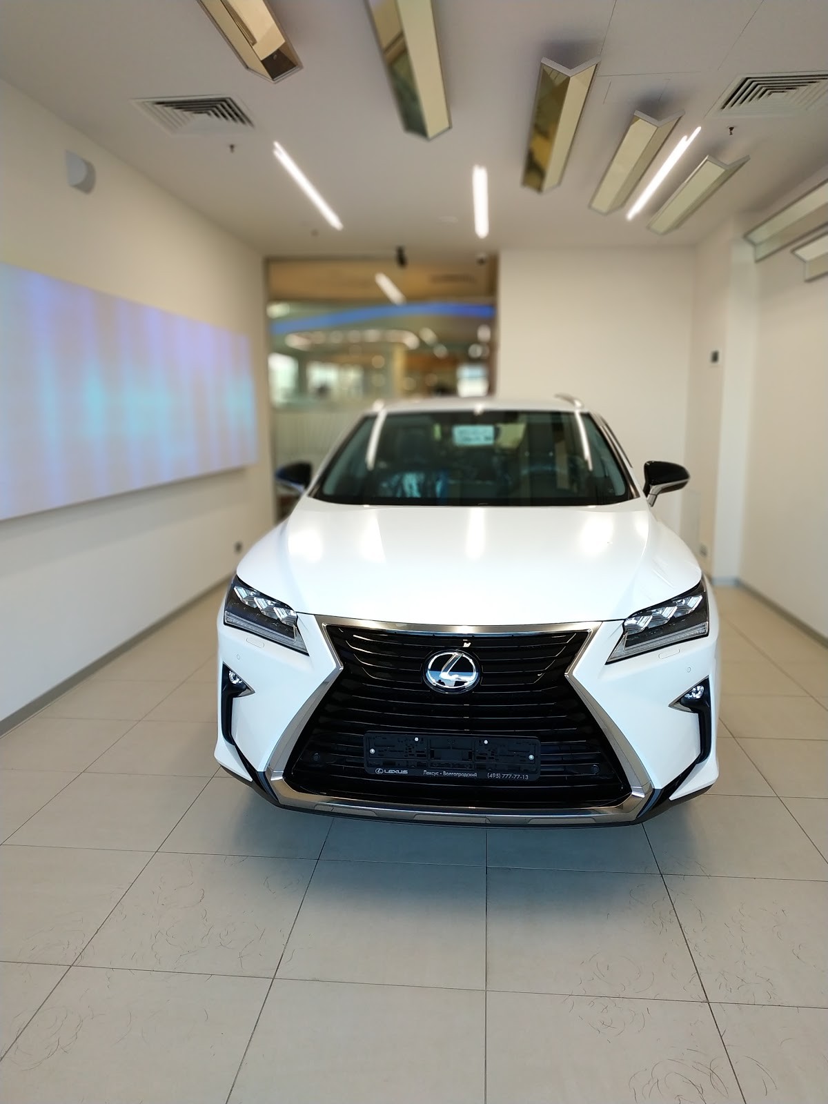 Lexus рольф волгоградский